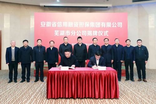 省信用融資擔保集團蕪湖市分公司揭牌