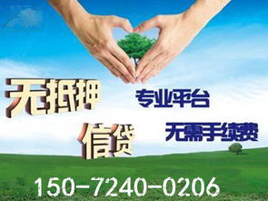 陽(yáng)邏信用借貸公司 信用擔(dān)保服務(wù)解析